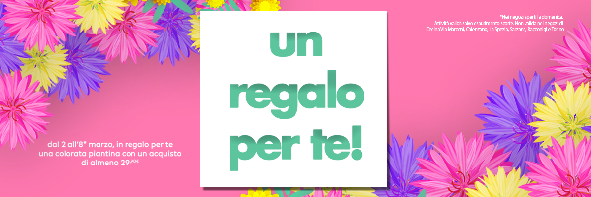 Festa della Donna Pianta